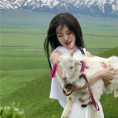 蔷薇少女 序曲封面